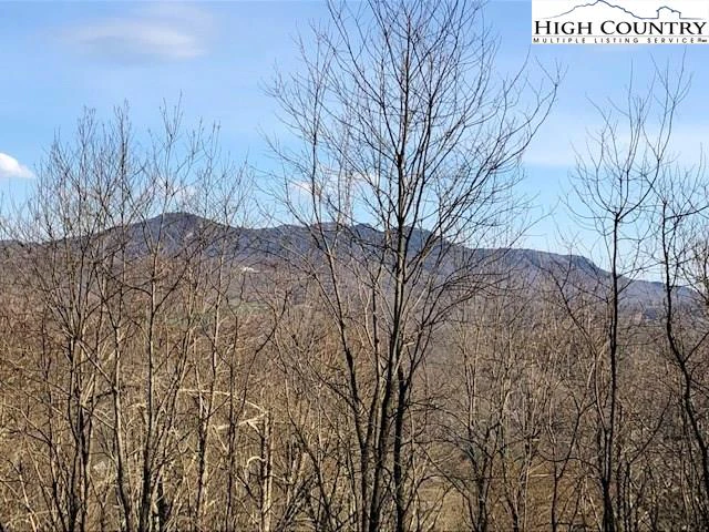 Image number 1 for the current listing