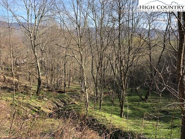 Image number 7 for the current listing