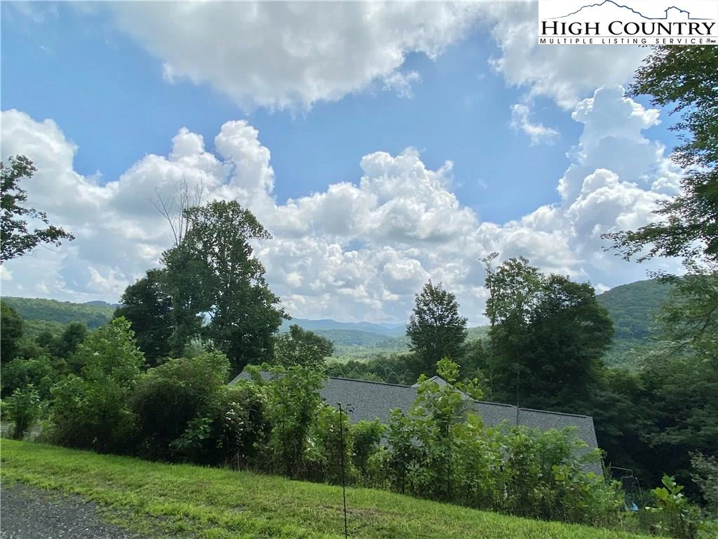 Image number 1 for the current listing