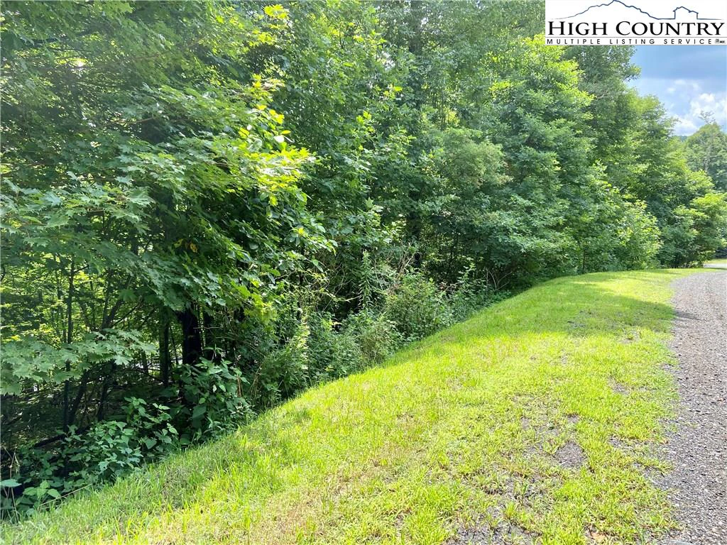 Image number 4 for the current listing