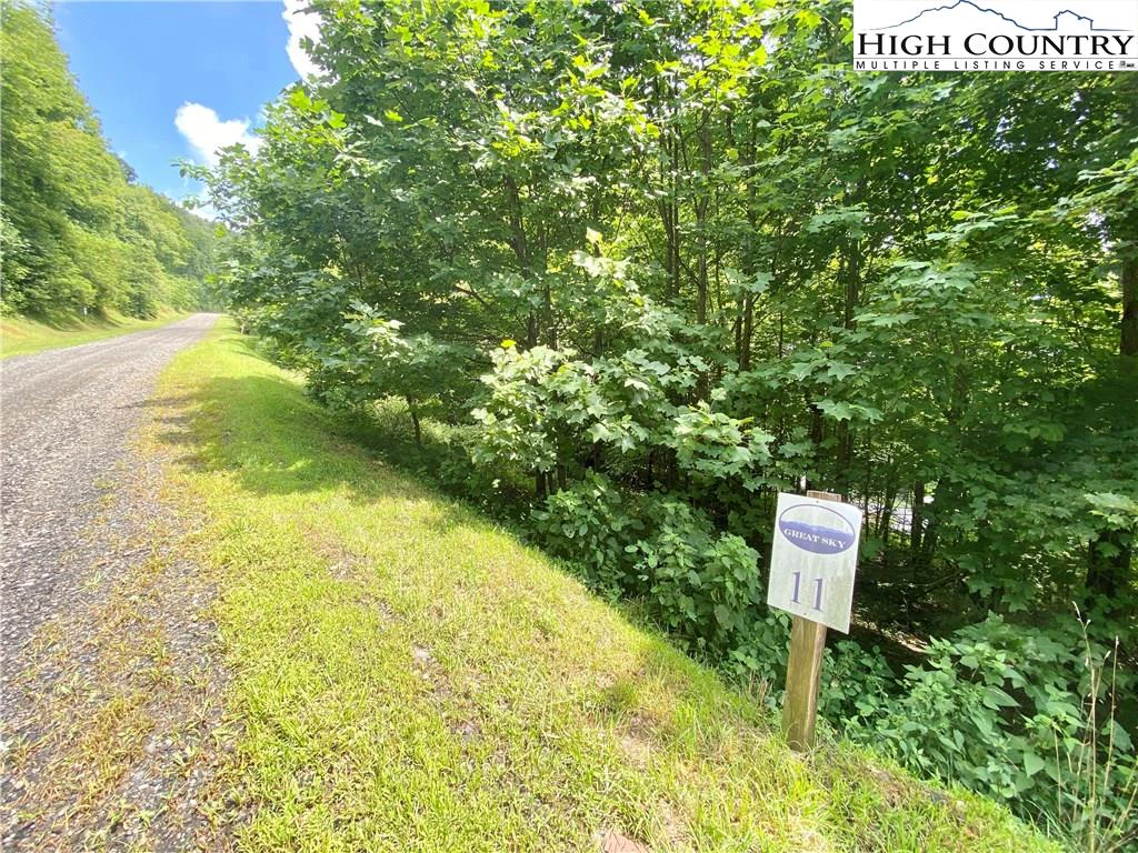 Image number 5 for the current listing