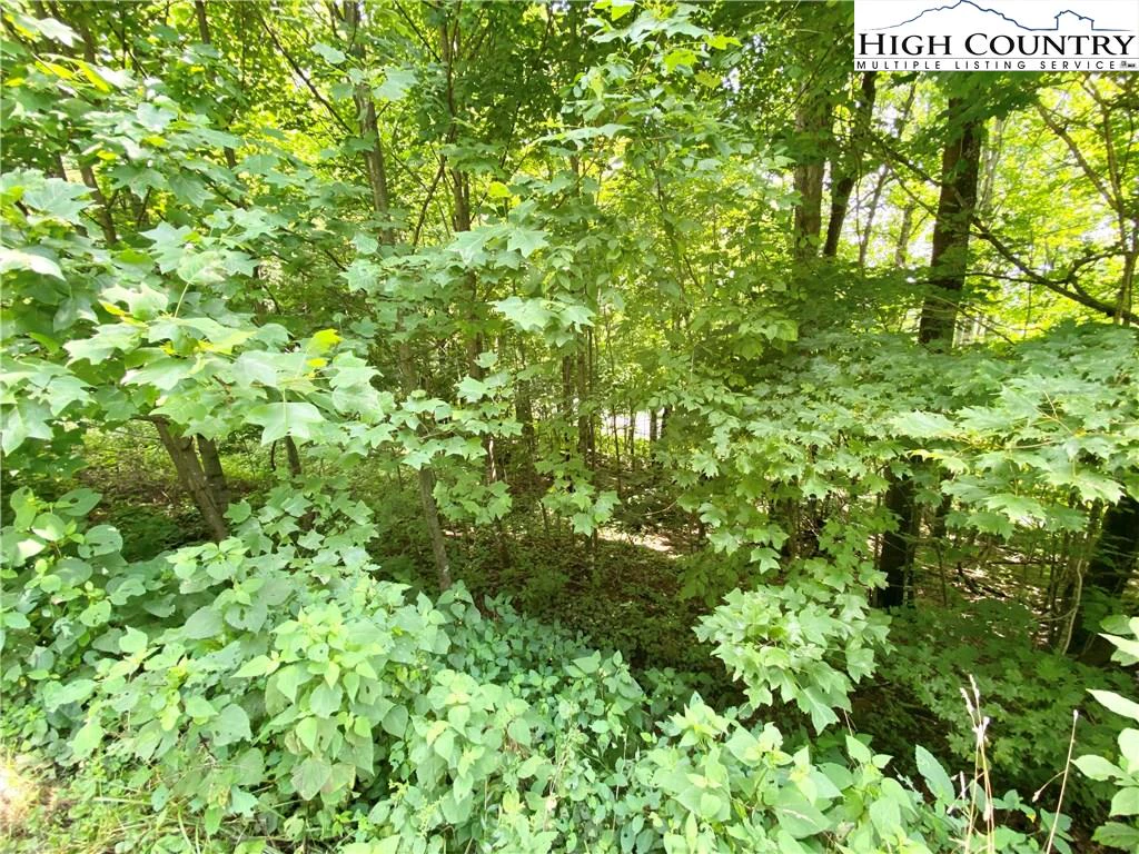 Image number 6 for the current listing