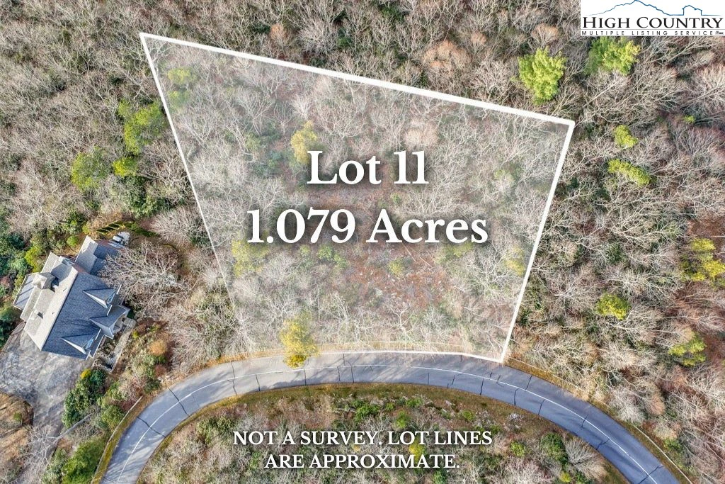Image number 1 for the current listing