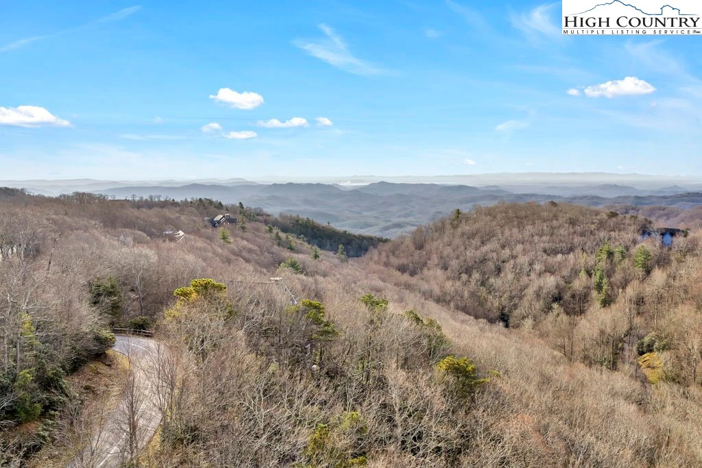 Image number 2 for the current listing