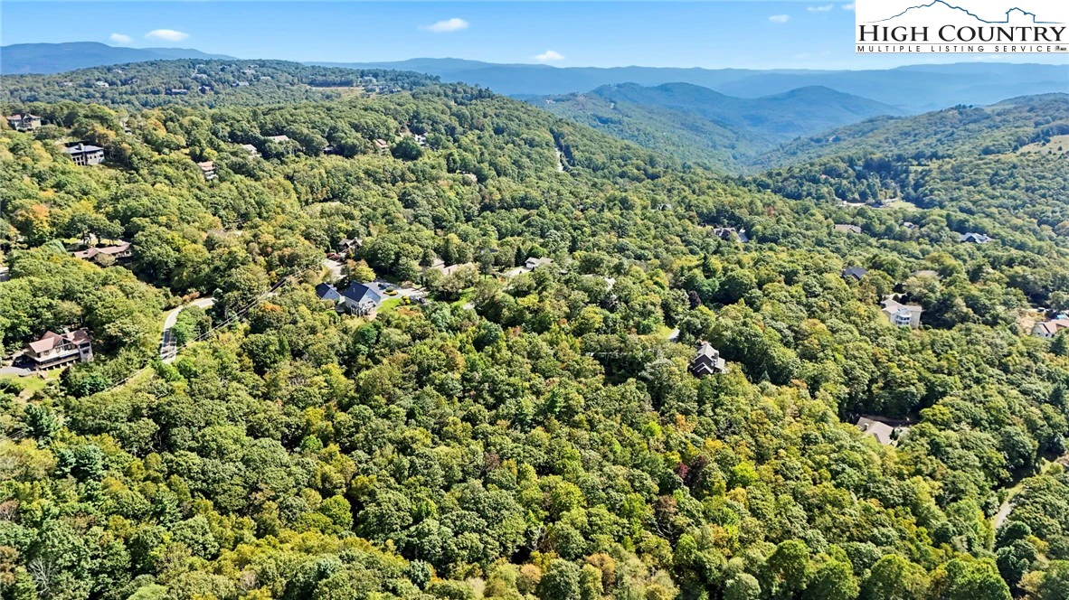 Image number 14 for the current listing