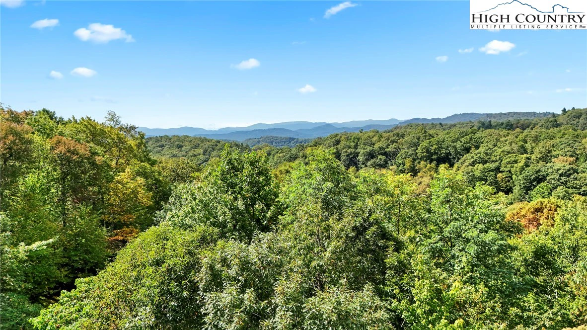 Image number 10 for the current listing