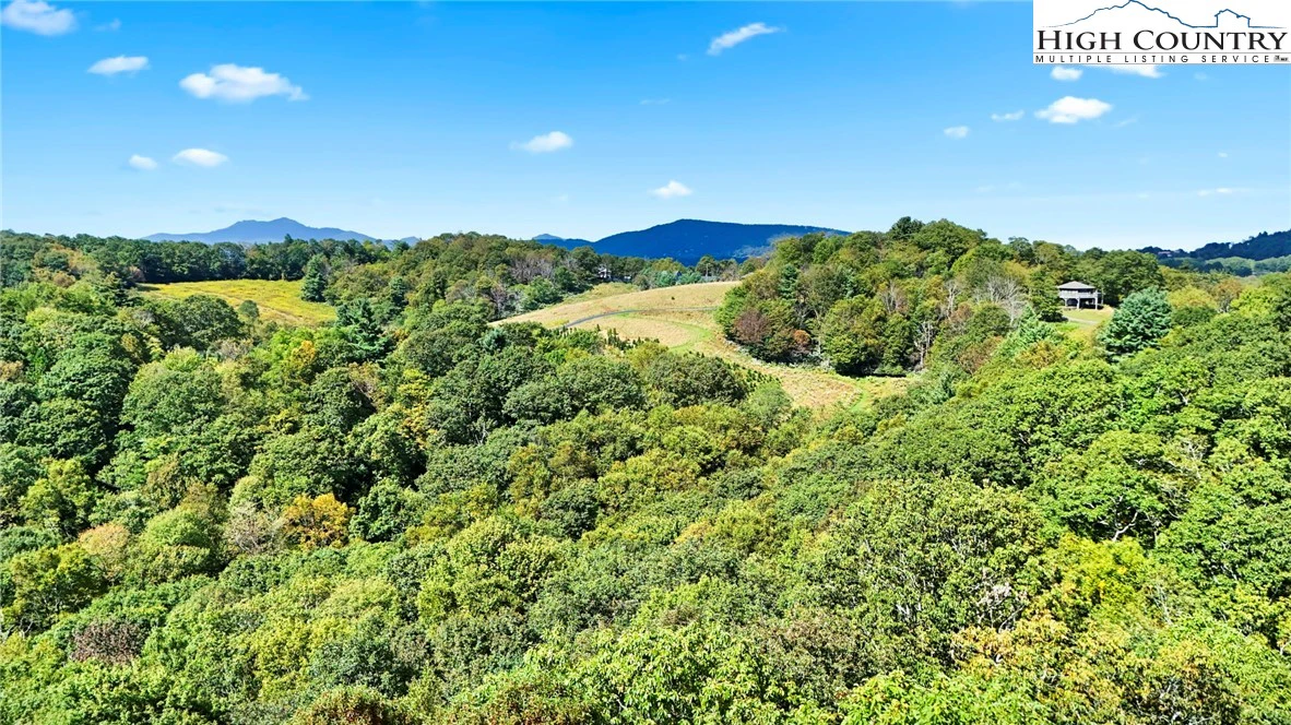 Image number 9 for the current listing