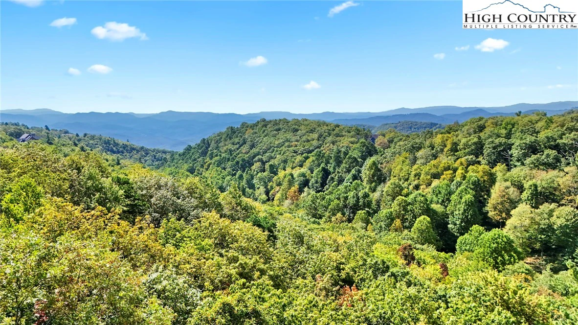 Image number 7 for the current listing