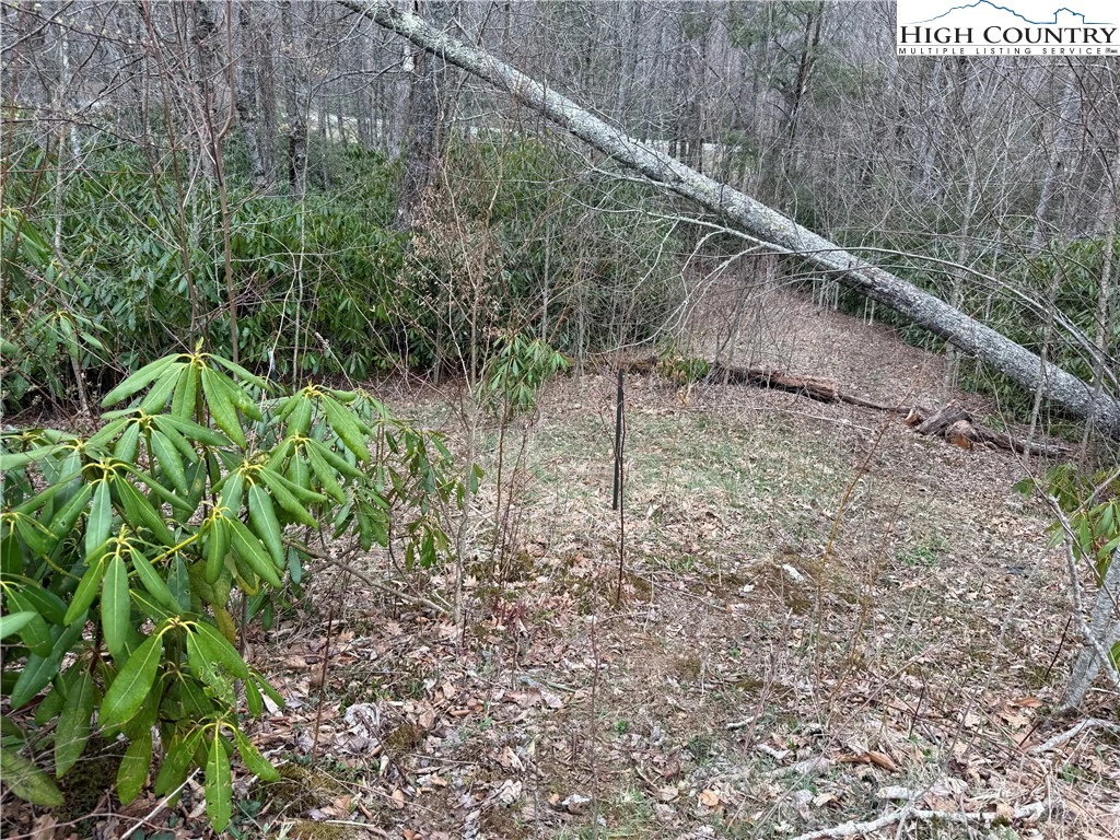 Image number 11 for the current listing