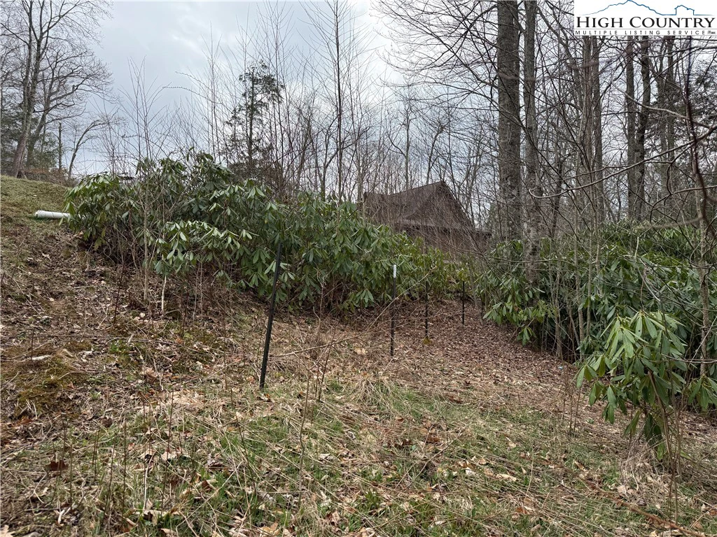 Image number 8 for the current listing