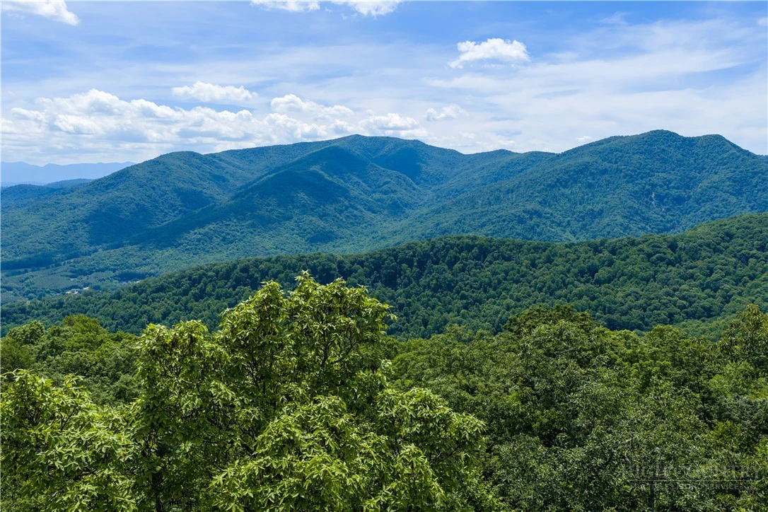 Image number 1 for the current listing