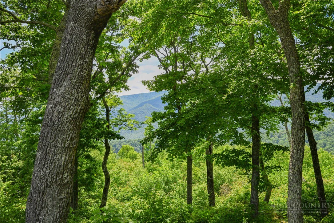 Image number 2 for the current listing