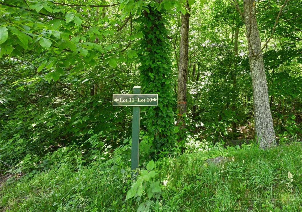 Image number 4 for the current listing