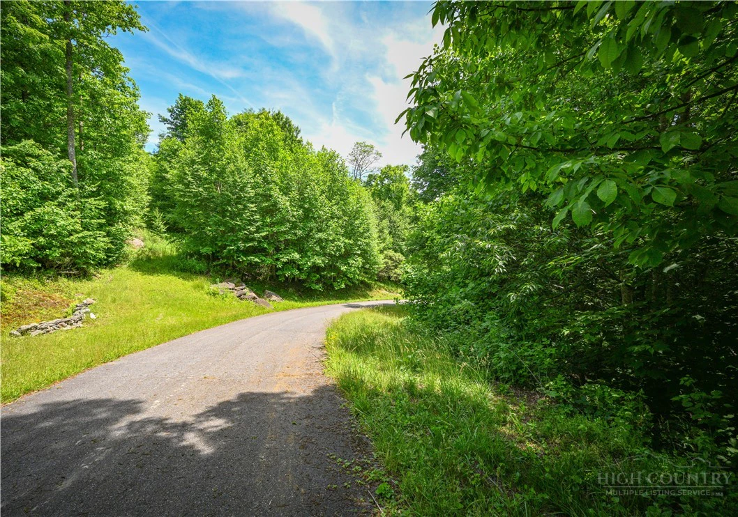 Image number 6 for the current listing