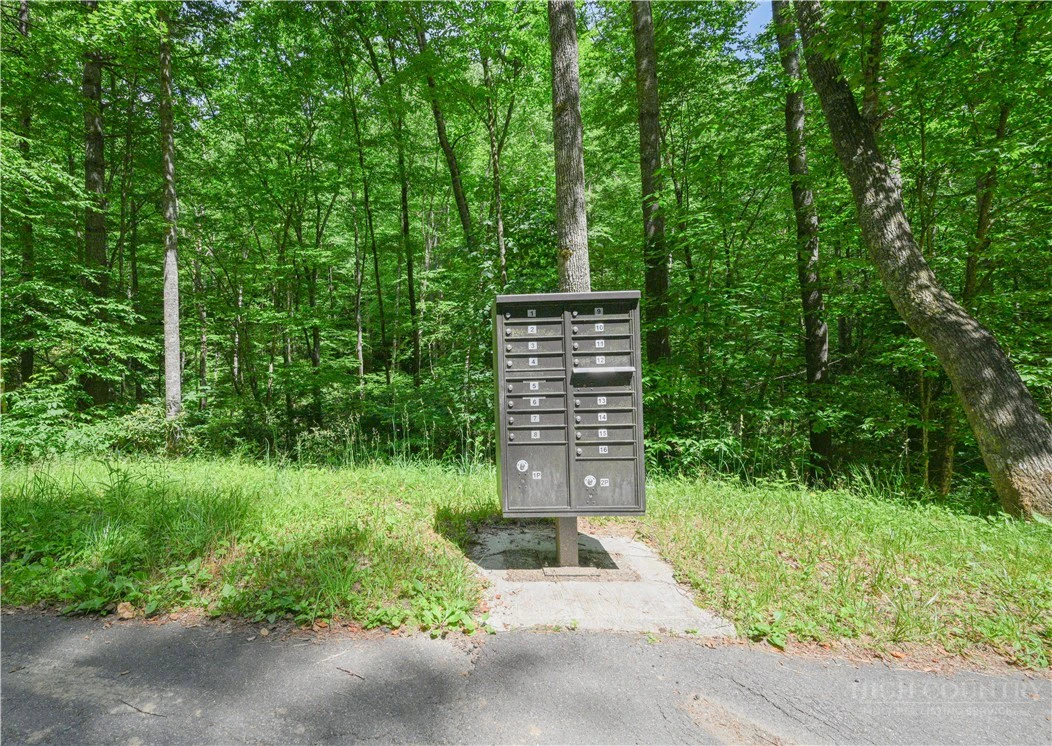 Image number 7 for the current listing
