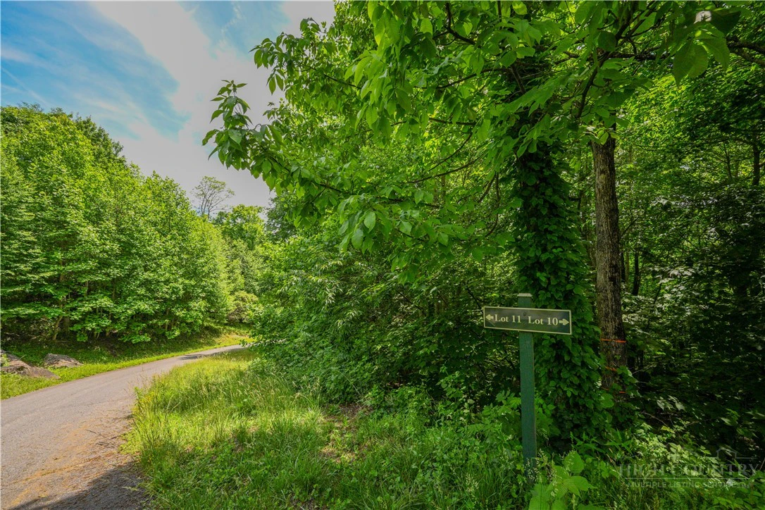 Image number 9 for the current listing