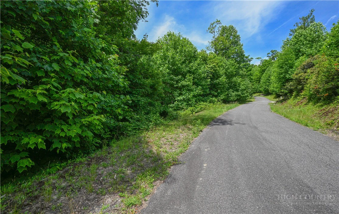 Image number 10 for the current listing