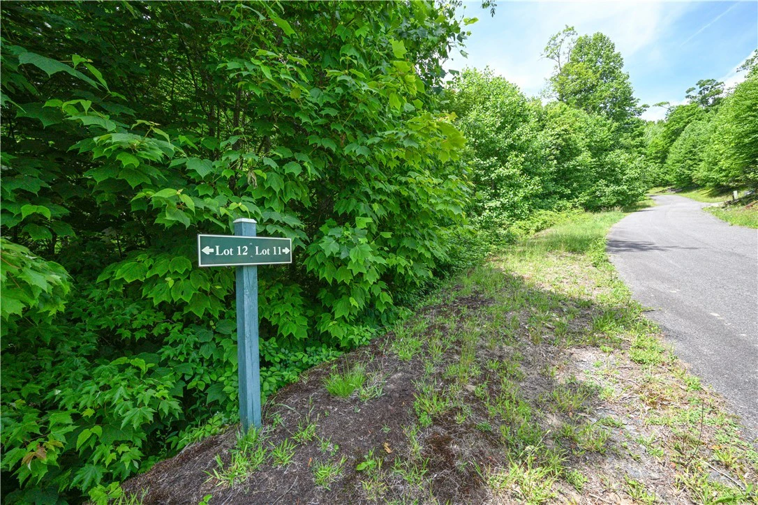 Image number 11 for the current listing