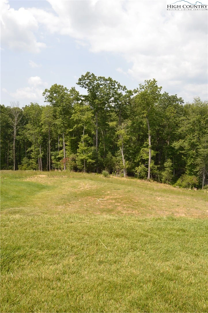 Image number 16 for the current listing