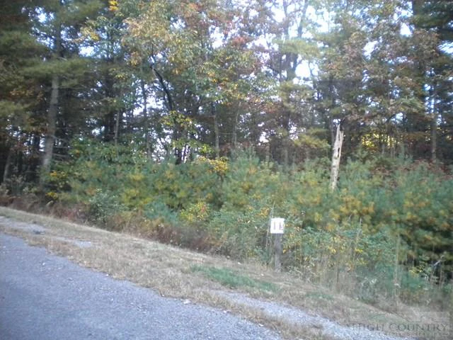 Image number 1 for the current listing