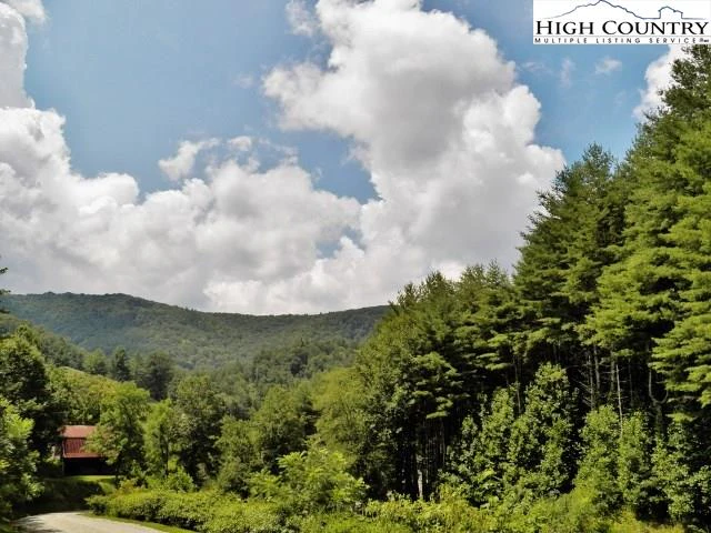 Image number 12 for the current listing