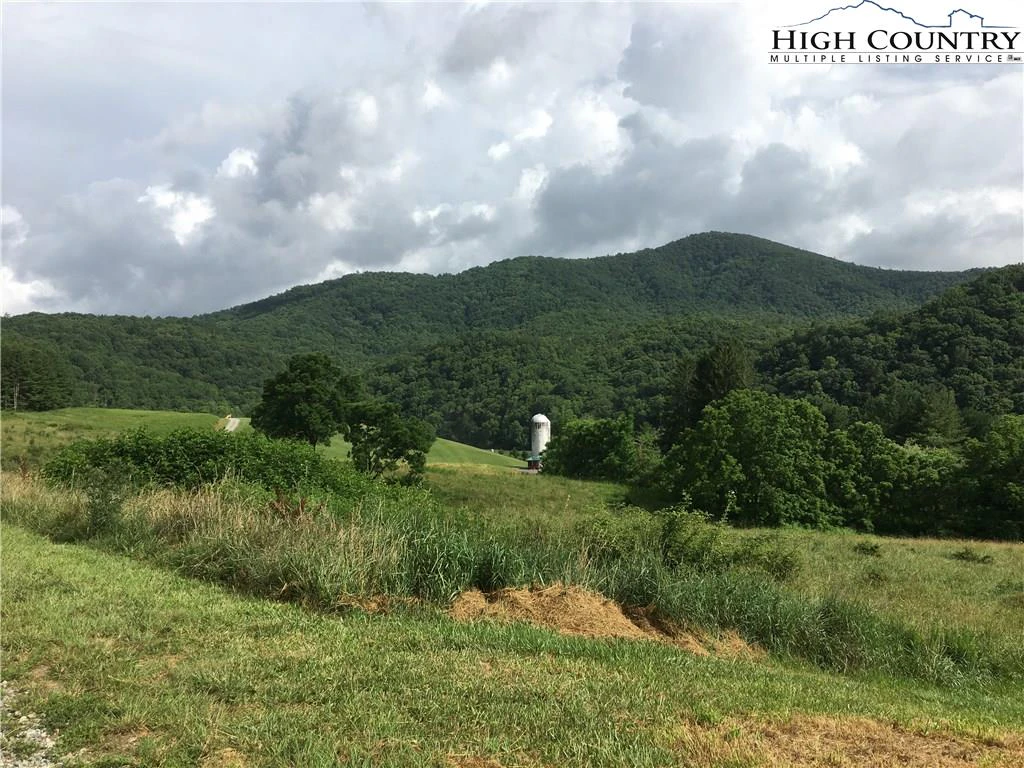 Image number 1 for the current listing