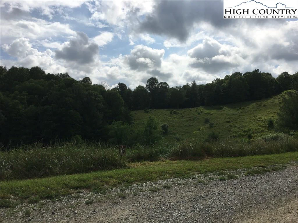 Image number 3 for the current listing