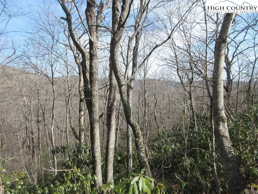 Image number 3 for the current listing