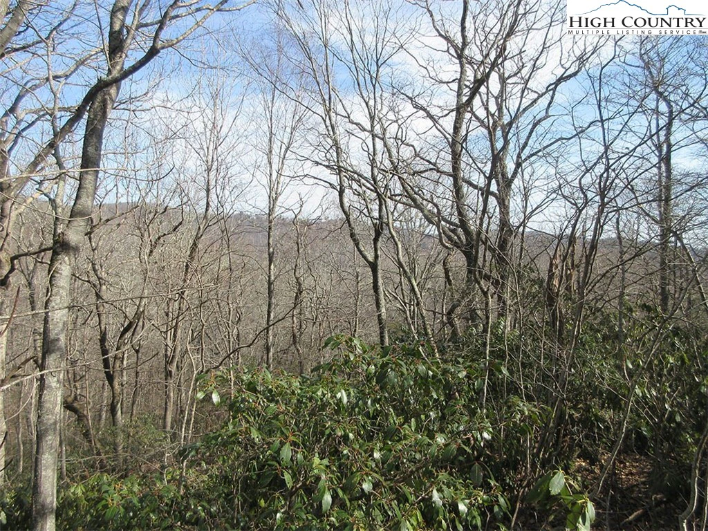 Image number 4 for the current listing