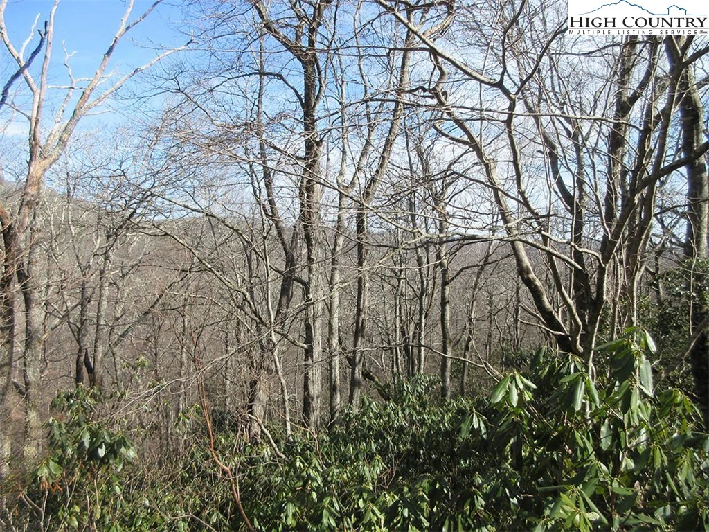 Image number 6 for the current listing