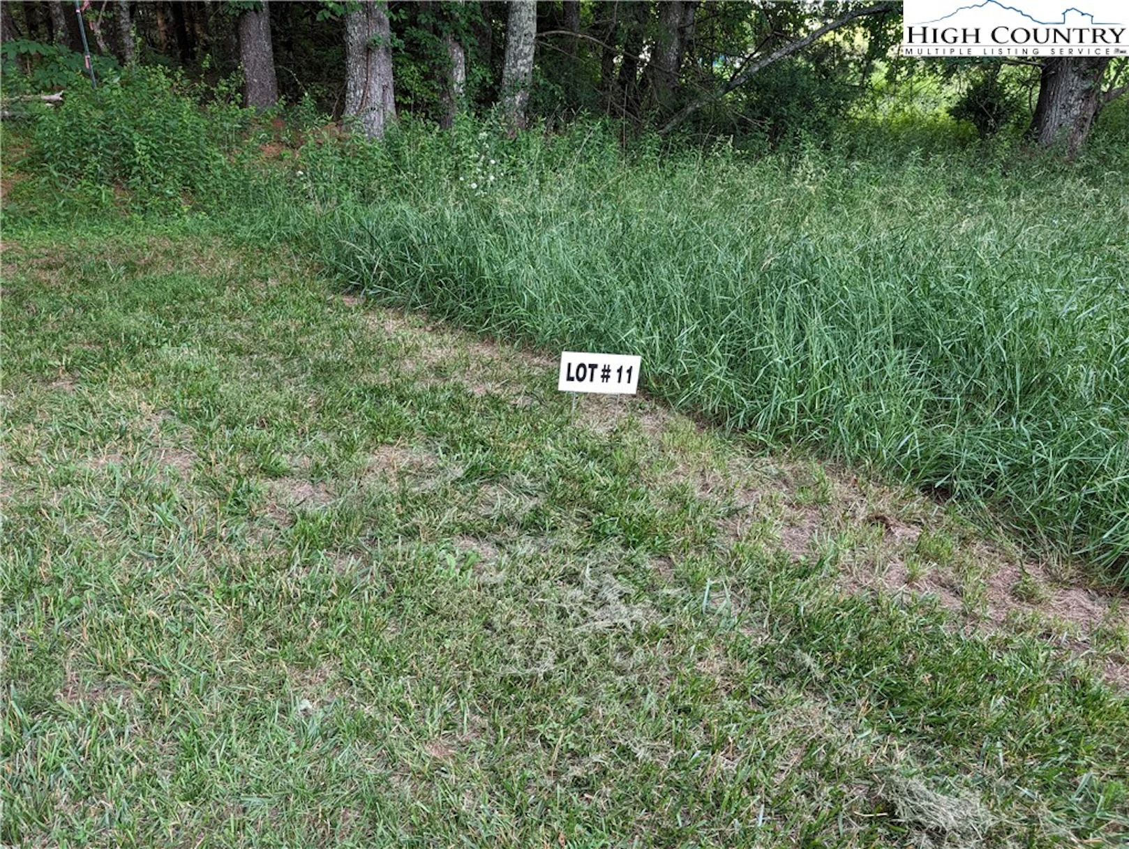 Image number 1 for the current listing