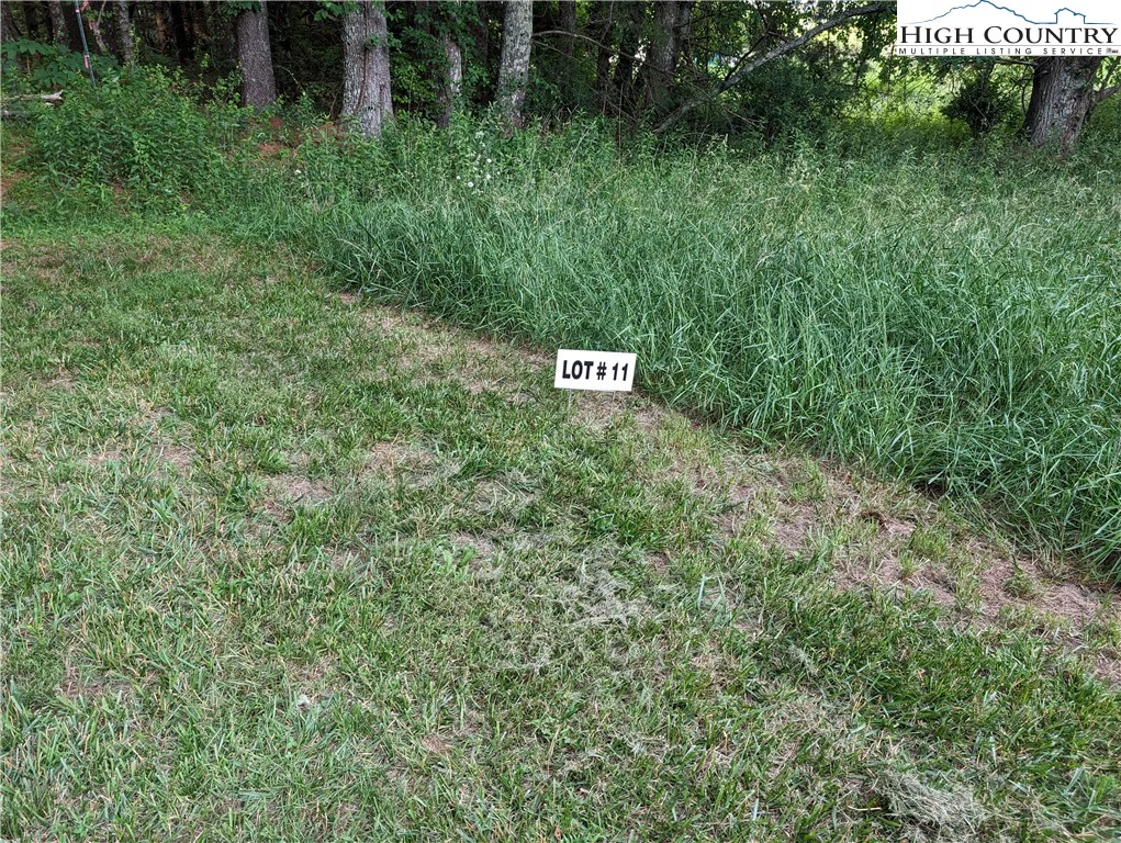 Image number 1 for the current listing