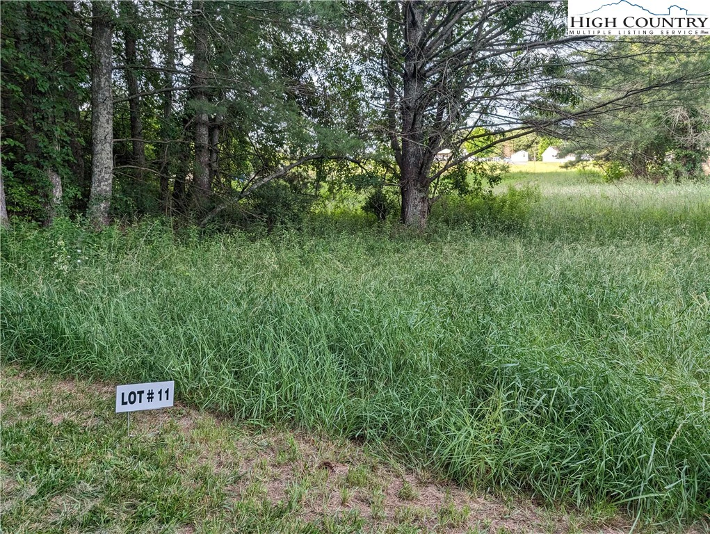 Image number 2 for the current listing