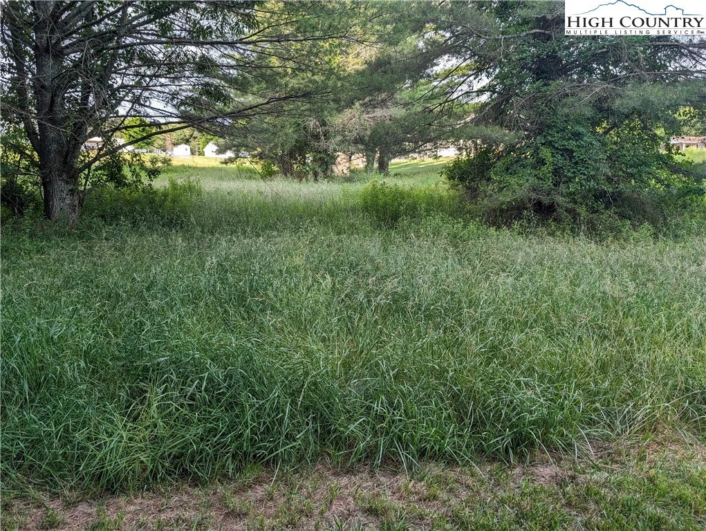 Image number 3 for the current listing
