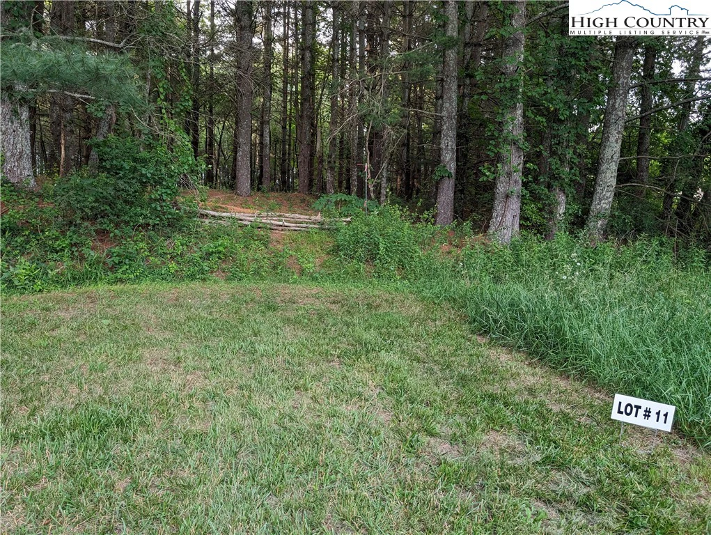 Image number 6 for the current listing