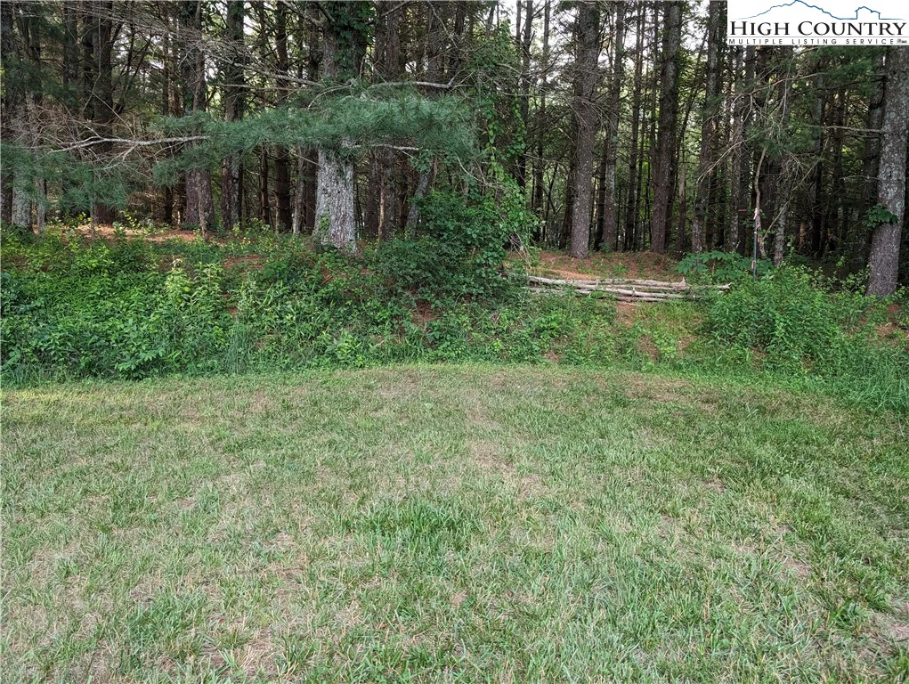 Image number 7 for the current listing