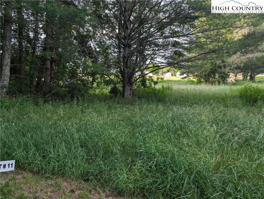 Image number 8 for the current listing