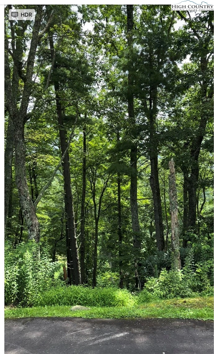 Image number 7 for the current listing