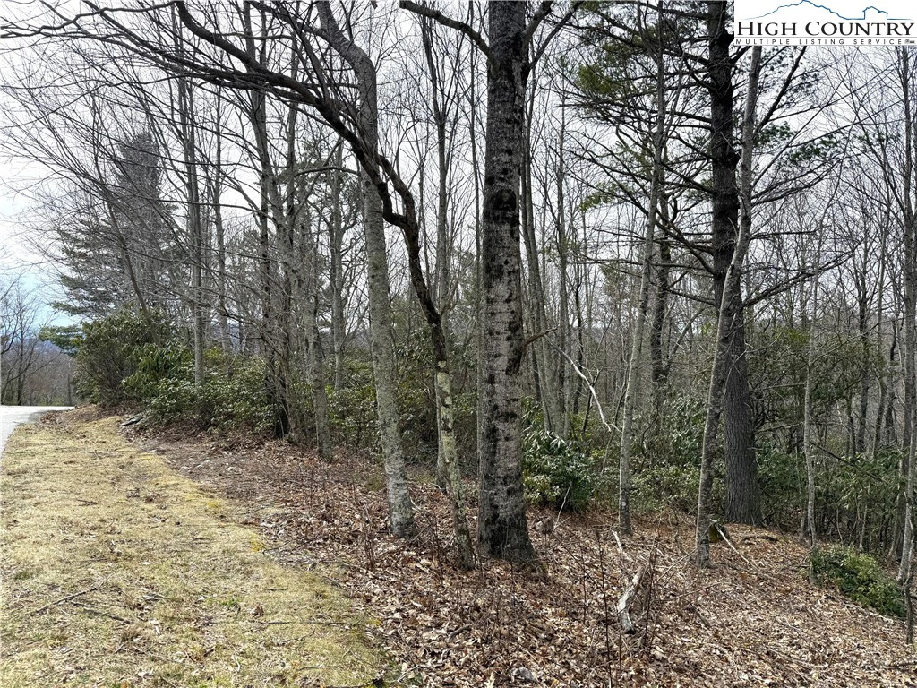 Image number 14 for the current listing