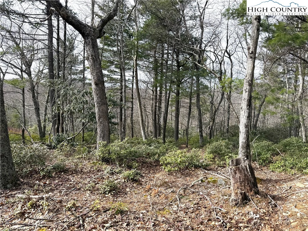Image number 12 for the current listing