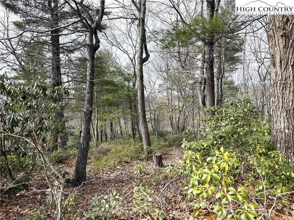 Image number 11 for the current listing