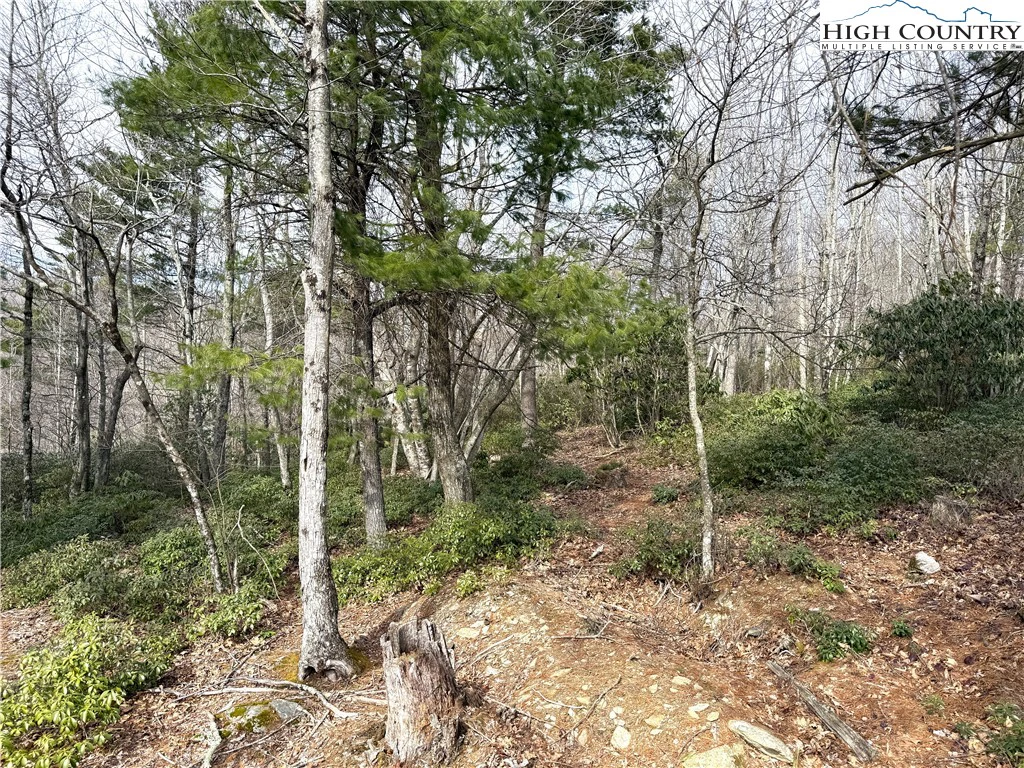 Image number 10 for the current listing