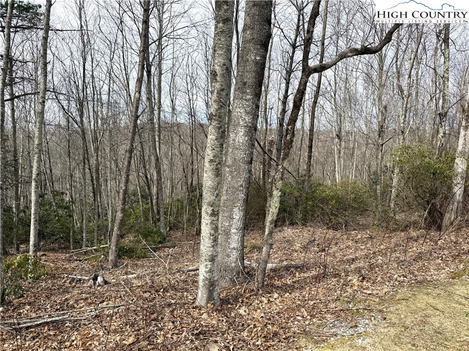 Image number 9 for the current listing