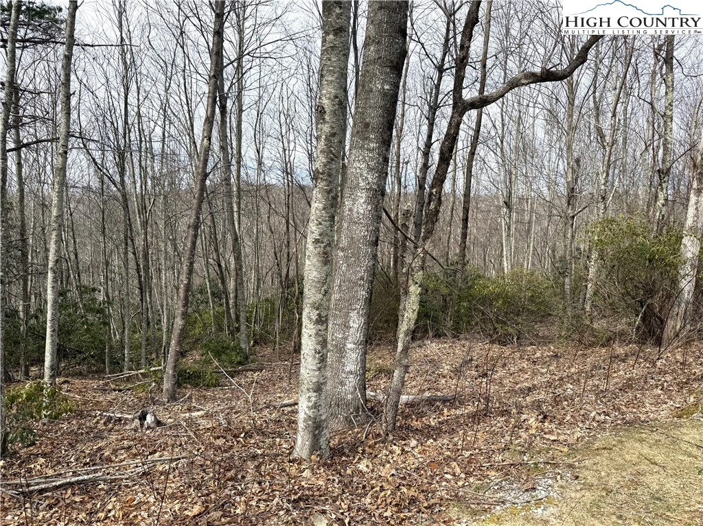 Image number 9 for the current listing