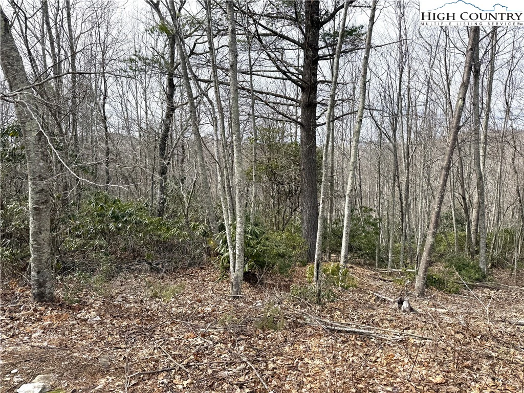 Image number 8 for the current listing