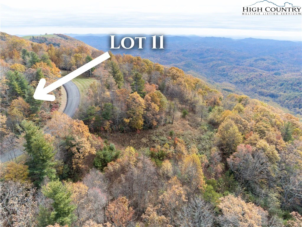Image number 1 for the current listing
