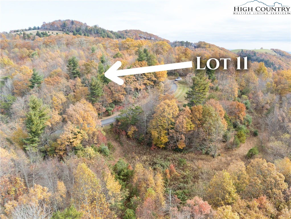 Image number 2 for the current listing