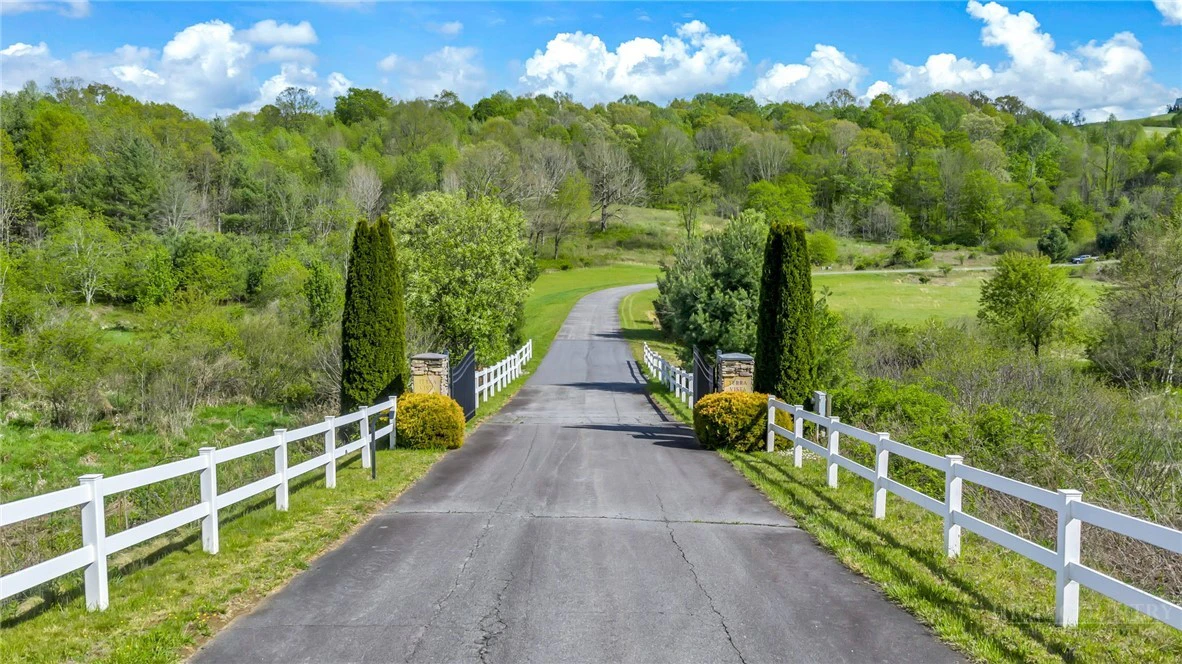 Image number 11 for the current listing