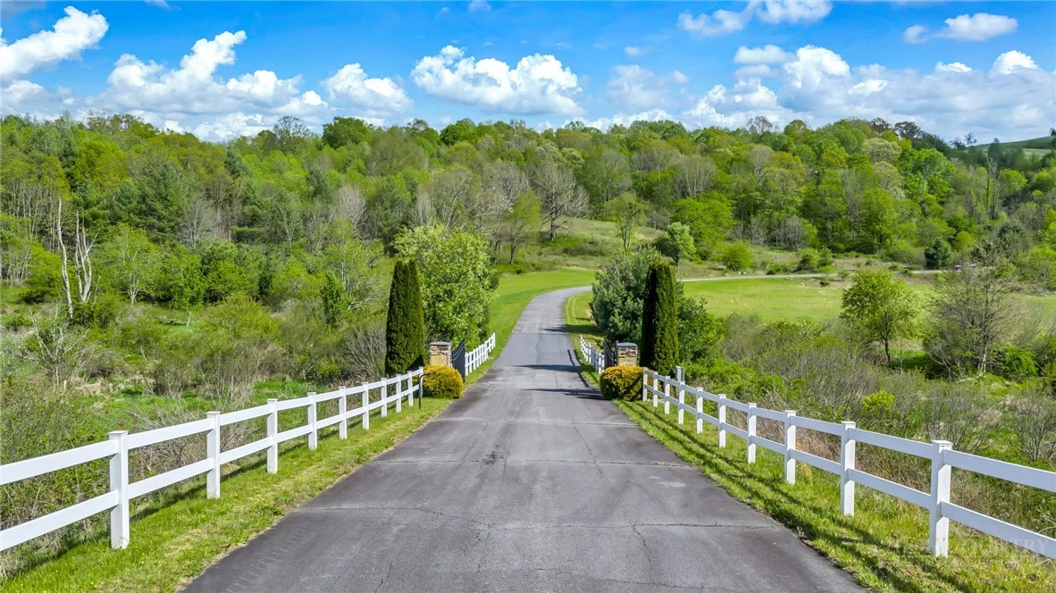 Image number 10 for the current listing