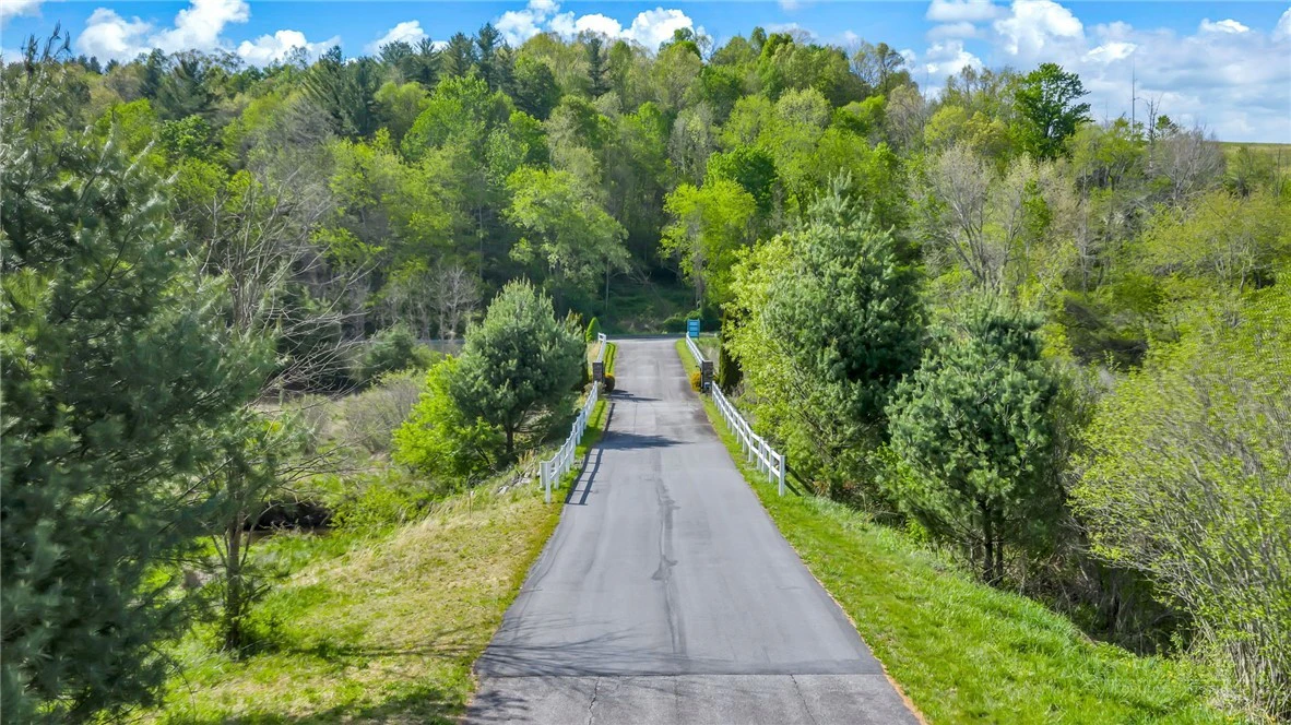Image number 2 for the current listing